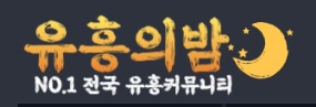 유흥의밤